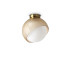 Bloom 22cm Globe Ceiling Light Brass 1x E27-1
