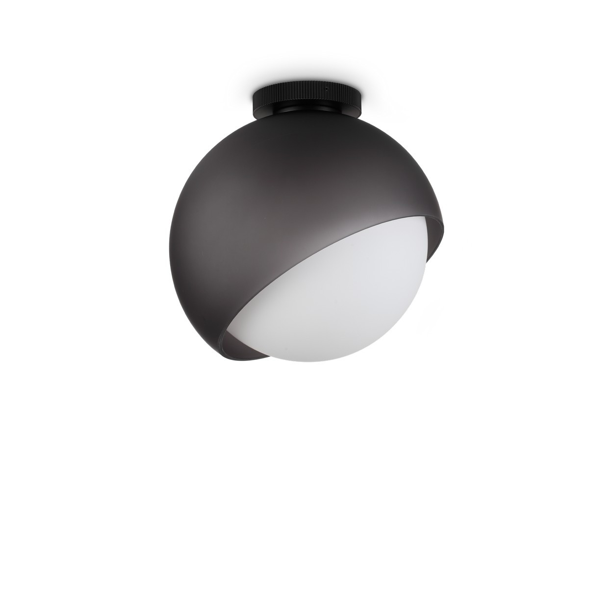 Bloom 30cm Globe Ceiling Light Black 1x E27