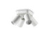 Dynamite Ceiling Spotlight Clusters White 4x GU10-1