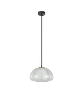 Feder I Dome Pendant Ceiling Light Black-1