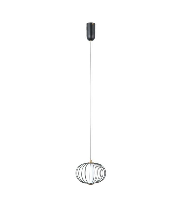 Rabel Wire Frame Pendant Ceiling Light Matt Black 3000K Warm White-1
