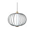 Rabel Wire Frame Pendant Ceiling Light Matt Black 3000K Warm White-2