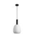 Gater Dome Pendant Ceiling Light Black with Opal White Shade-1