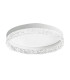 Rante Ceiling Light White 3000/4000/6500K Remote Control Dimmable.-1