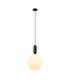 Aldeva Globe Pendant Ceiling Light Black-2