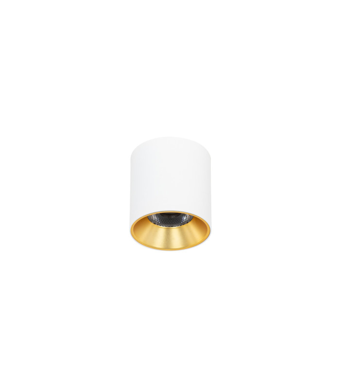 Altisma 7.5cm Surface Mounted Downlight Matt White Gold Inside 3000K Warm White-1