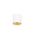 Altisma 7.5cm Surface Mounted Downlight Matt White Gold Inside 3000K Warm White-4