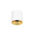 Altisma 9.5cm Surface Mounted Downlight Matt White Gold Inside 3000K Warm White-1