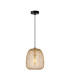 Amiria Wire Frame Pendant Ceiling Light Gold-1