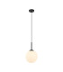 Deore Globe Pendant Ceiling Light Black-2