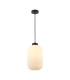 Lindo Dome Pendant Ceiling Light Black-4