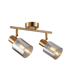 Santia Twin Ceiling Spotlight Brass Grey Glass Shade 2xE14-1