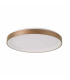 Vico 78cm LED Semi Flush Ceiling Light Gold 3000/4000K-2