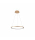 Vinola 40cm LED Pendant Ceiling Light Gold 3000/4000K-1