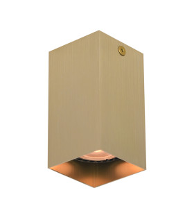 Ander 10cm Surface Mounted Downlight Black Brass-1