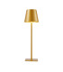 Atlis Outdoor Portable Lamp Gold 3000K - 6500K Touch Switchable Dimmable IP54-1