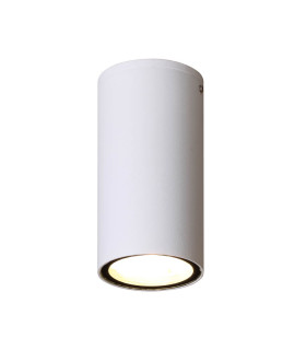 Fano Outdoor Surface Mounted Downlight White 3000K Warm White IP54-2