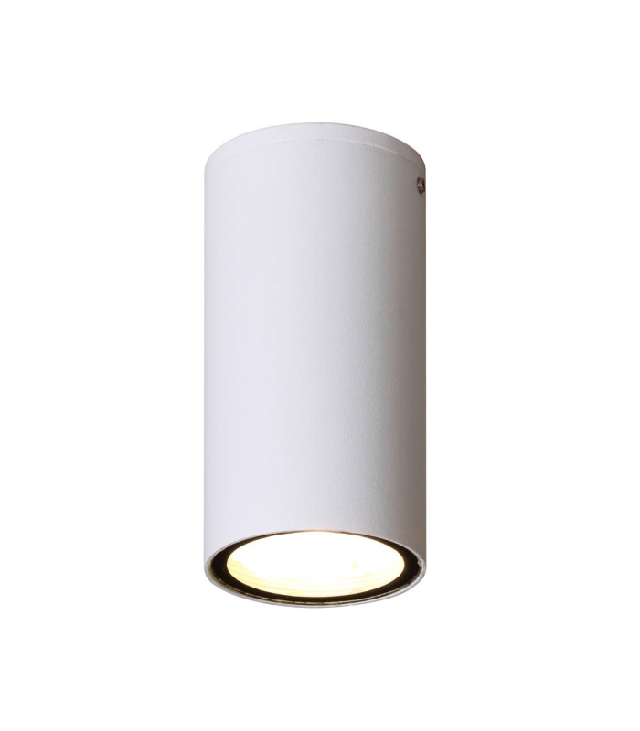 Fano Outdoor Surface Mounted Downlight White 3000K Warm White IP54-2