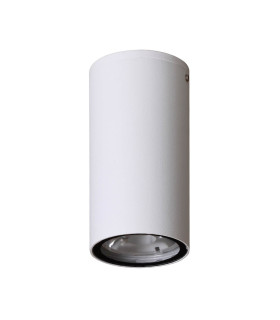 Fano Outdoor Surface Mounted Downlight White 4000K Neutral White IP54-1
