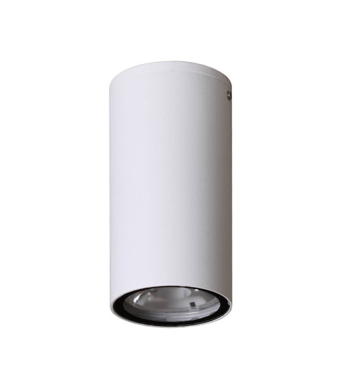 Fano Outdoor Surface Mounted Downlight White 4000K Neutral White IP54-1