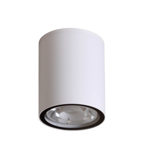 Fano Wide Outdoor Surface Mounted Downlight White 4000K Neutral White IP54-1