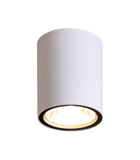 Fano Wide Outdoor Surface Mounted Downlight White 4000K Neutral White IP54-2