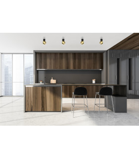 Lafin Single Spotlight Black Brass-5