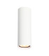 Lopus Surface Mounted Downlight White-1