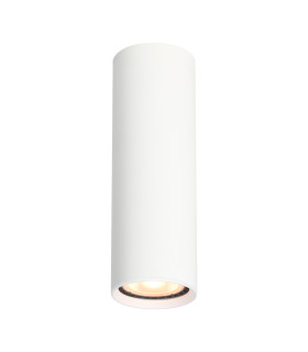 Lopus Surface Mounted Downlight White-1