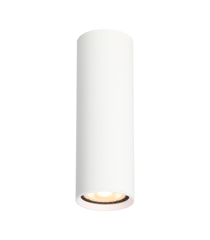 Lopus Surface Mounted Downlight White-1