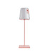 Ostap Outdoor Portable Lamp Pink 3000K + RGB Touch Switchable Dimmable IP54-1