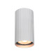 Rilok 10cm Surface Mounted Downlight Aluminum 10W-1