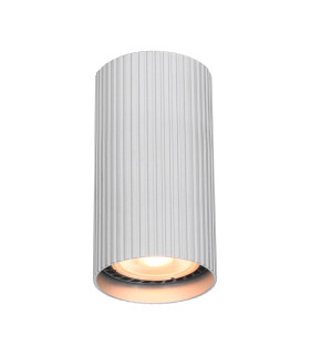 Rilok 10cm Surface Mounted Downlight Aluminum 10W-1