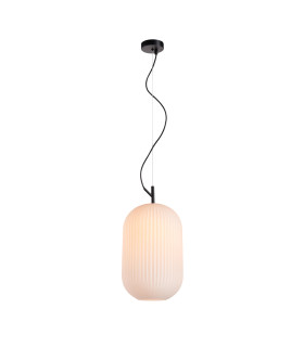 Rues Oval Dome Pendant Ceiling Light Matt Black-1