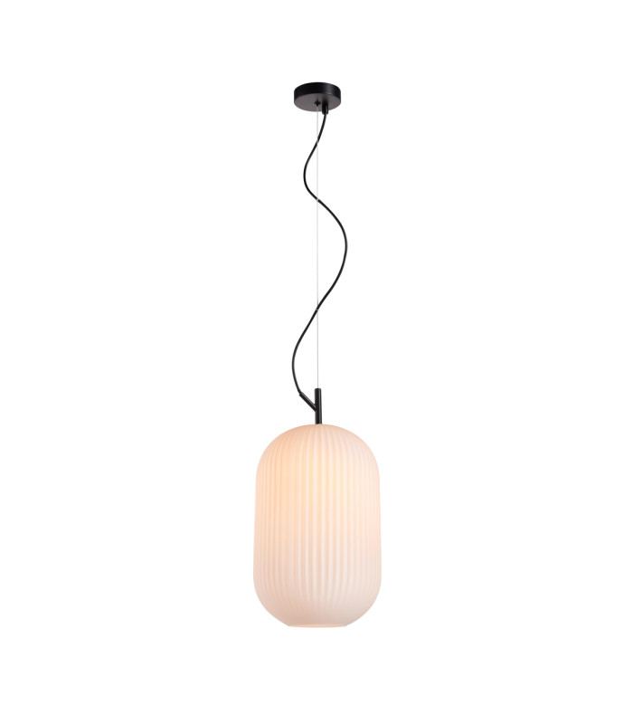 Rues Oval Dome Pendant Ceiling Light Matt Black-1