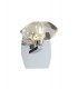 Wall Lamp Switched 1 Light G9, Polished Chrome - 1
