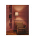 Clip Floor Lamp with Tapered Shade Black E27 15W-2