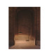 Noway Arc Floor Lamp Black LED 25.4W CCT 2700-3000-4000K Push-2