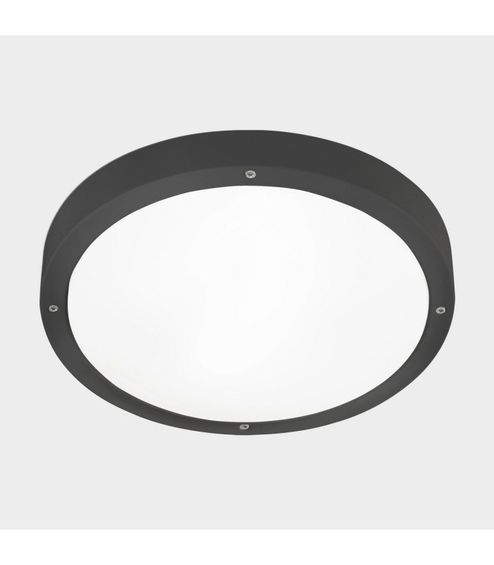 Basic 0cm Outdoor Flush Urban Grey E27 30W IP66-1