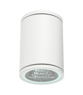 Orion Outdoor Surface Mounted Downlight White 8W IP54-1