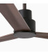 Nassau M Brown Fan-4