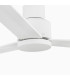 Nassau M White Fan-4