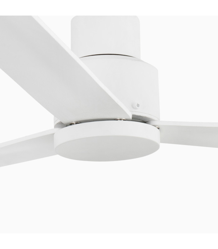 Nassau M White Fan-4