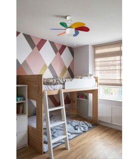 Palao S Multicolor Fan-2
