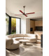 Malvinas L Dark Brown Fan-2