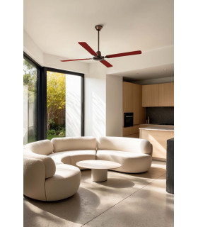 Malvinas L Dark Brown Fan-2
