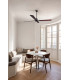 Malvinas L Dark Brown Fan-3
