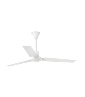 Indus L White Fan-1