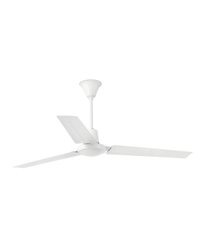 Indus L White Fan-1