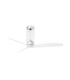 Tube Fan M Transparent Fan-1